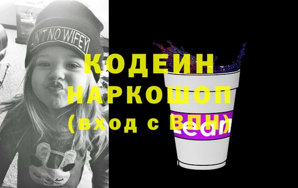 ешки Бородино