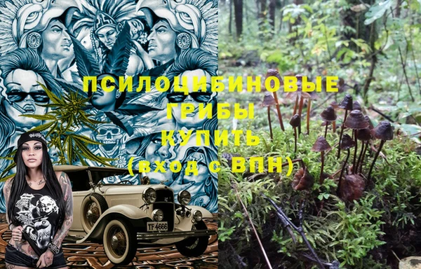 соль курить ск Богданович