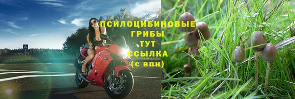 ешки Бородино