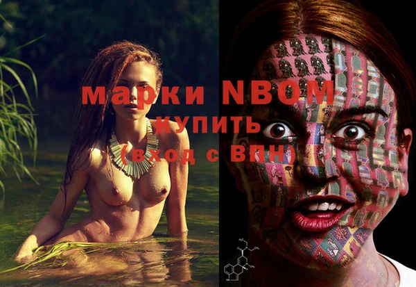 СК Богородицк