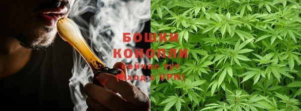 ешки Бородино