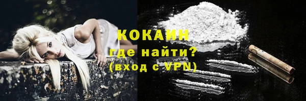 ешки Бородино