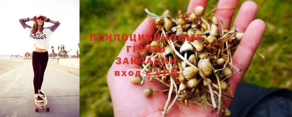 соль курить ск Богданович