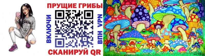 Галлюциногенные грибы MAGIC MUSHROOMS  мега ссылки  Шумиха 